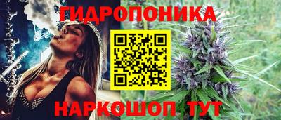 наркотики Пугачёв