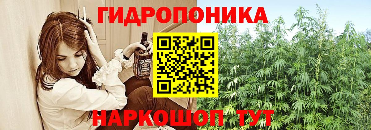 Каннабис индика Сальск